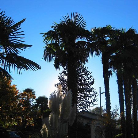 Villa Garni Gardenia Caslano Bagian luar foto